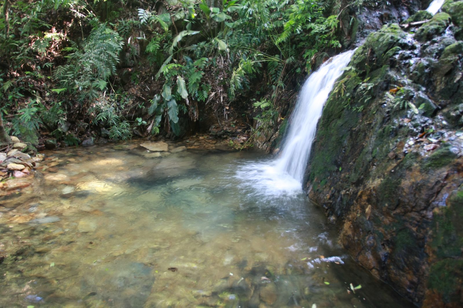Queda d'água da Cachoeira da Praia Vermelha em meio à mata, em Penha