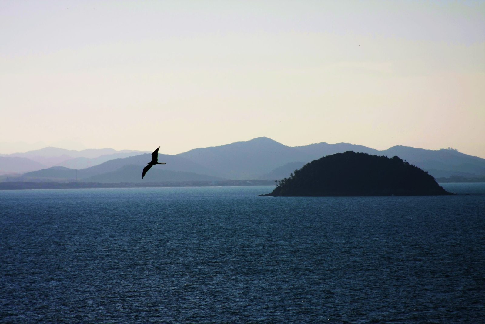Ilha Feia coberta de Mata Atlântica, em frente ao litoral de Penha