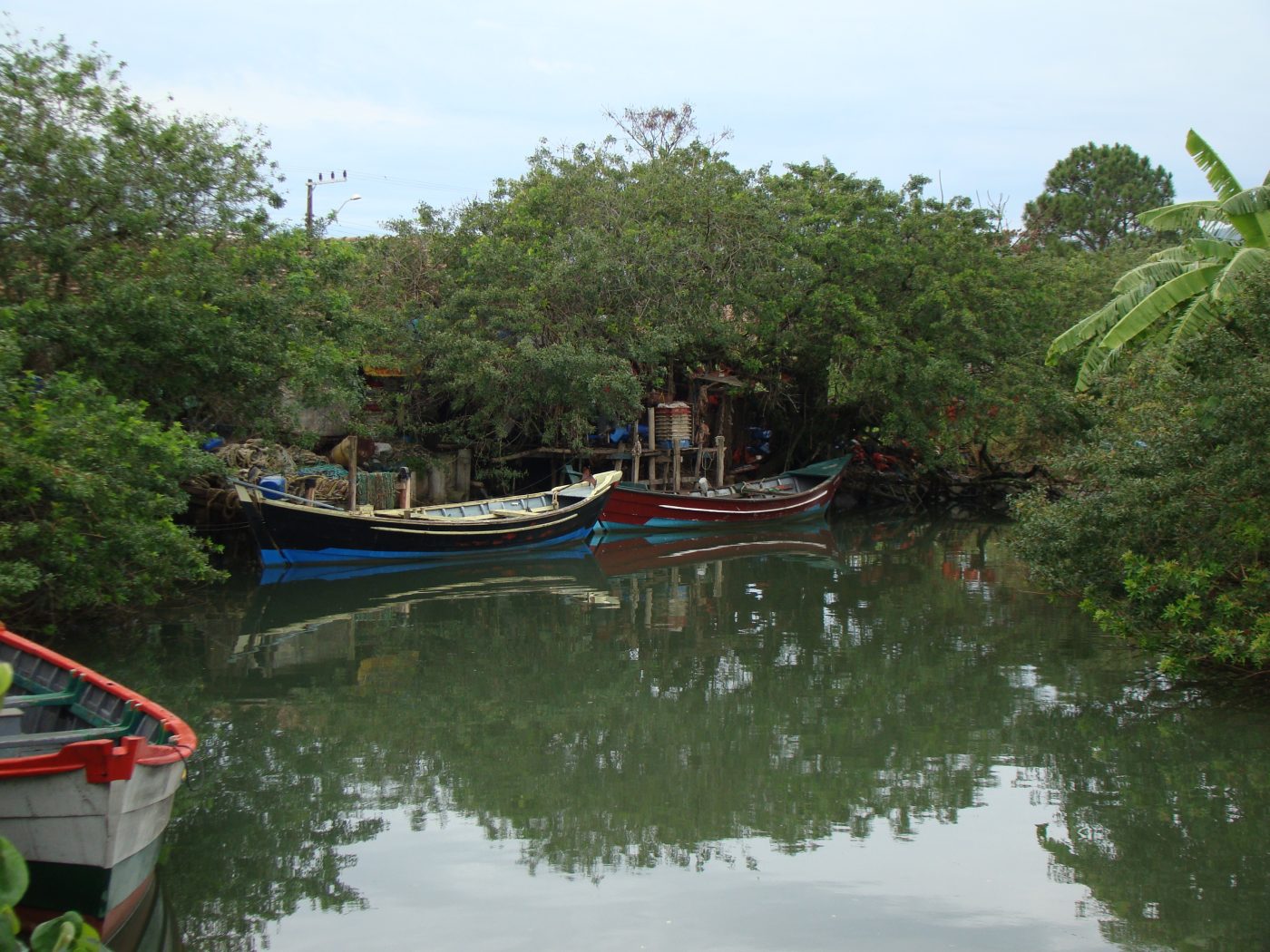 Rio Iriri em meio à natureza preservada de Penha