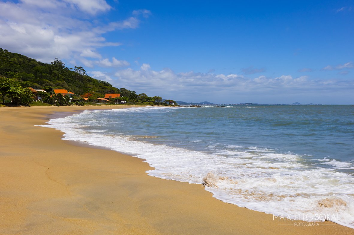 Praia da Saudade, em Penha, com longa faixa de areia dourada, ondas suaves e orla arborizada